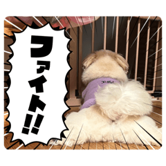 NAKAMURA_20260505234847