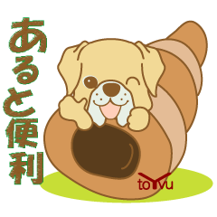 WANKOBIYORI (Boxer)1