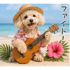 Hawaiian-style Toy Poodle