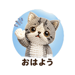 Knitted Exotic Shorthair