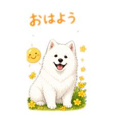 sara_20260505234917