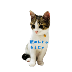 gan2tak_20260505235302