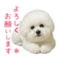 Masao_20260505235642