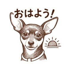 foochan_20260505235600