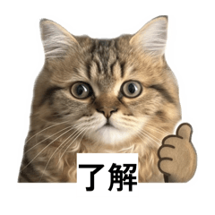 mozuku_20260506000043
