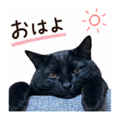 naka_20260506092113
