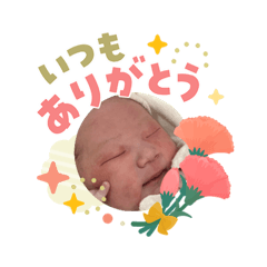 2026 kohime_20260506092229
