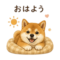 Ran_20260506093102