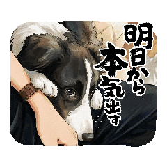 tomo_20260507153418