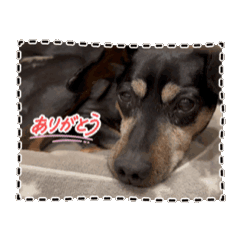 furu1983_20260508005550
