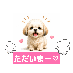 maron & baron_20260508014445