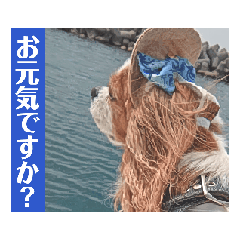 KURU_20260508010936