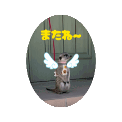 ilove_ganmo