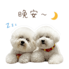 阿妹嚕米第二彈