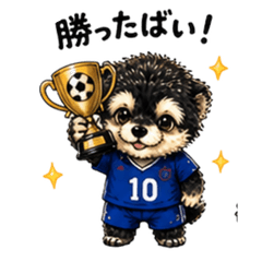 Adorable soccer dog,Ngasaki edition