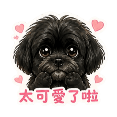 Mr. Todou II