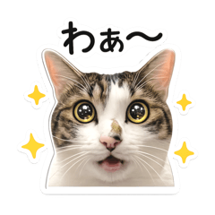 MAIMAI_20260505231456