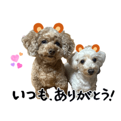 yoshie_20260505235340