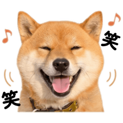 i am Yamato!!!!!!