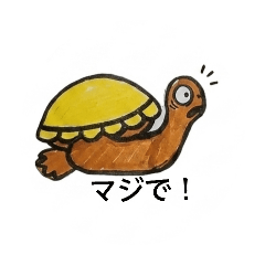 nasebanaru_20260506000626