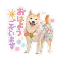 okoto_20260506002023