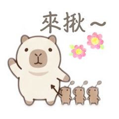 和悠閒的卡皮巴拉 chill生活吧