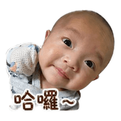 何家歡日常