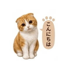 scottish moinyan oneword stickers