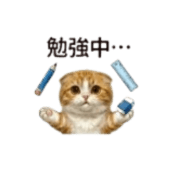 scottish moinyan studycats stickers