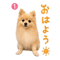 Pome-chan Daily Stickers