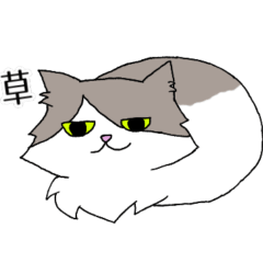 Salty Cat Ru-kun, Description