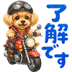 All Year Round Toy Poodle Daily Stickers