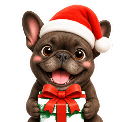 One Year of Frenchbulldog-brindle o