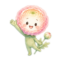 Everyday Ranunculus [No Text]