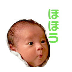 Tomo_20260506005114