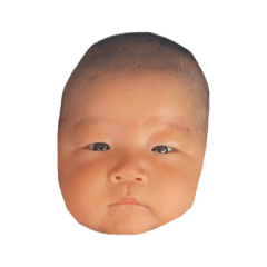yuikuma_20260506005031