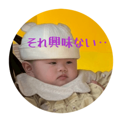 HONO_20260506010229