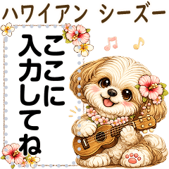 Shih tzu 2026 (Hawaiian)