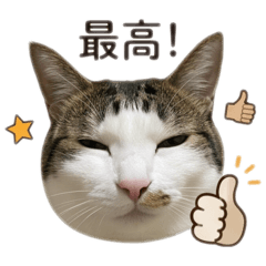 HopeWould_20260506010007