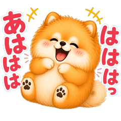 Pom the Pomeranian!