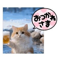waka_20260507200444
