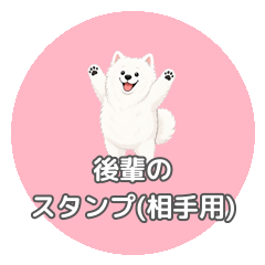 kouhaistickero