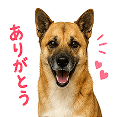 Chiro's Real Life Stickers
