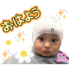 aoi ponpon0529_20260505123803