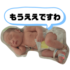 ohashi_20260506013250