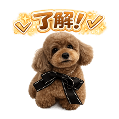 taku_20260506011934