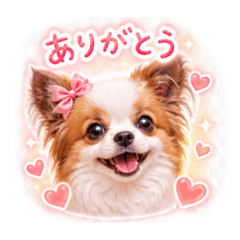 aya_20260506013406