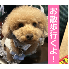 Shotaro_20260506015456