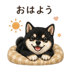 Ran_20260506113149