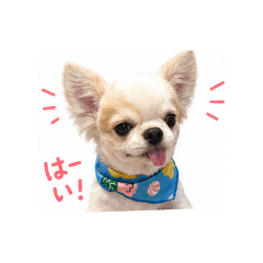 koutotyaro_20260506113320